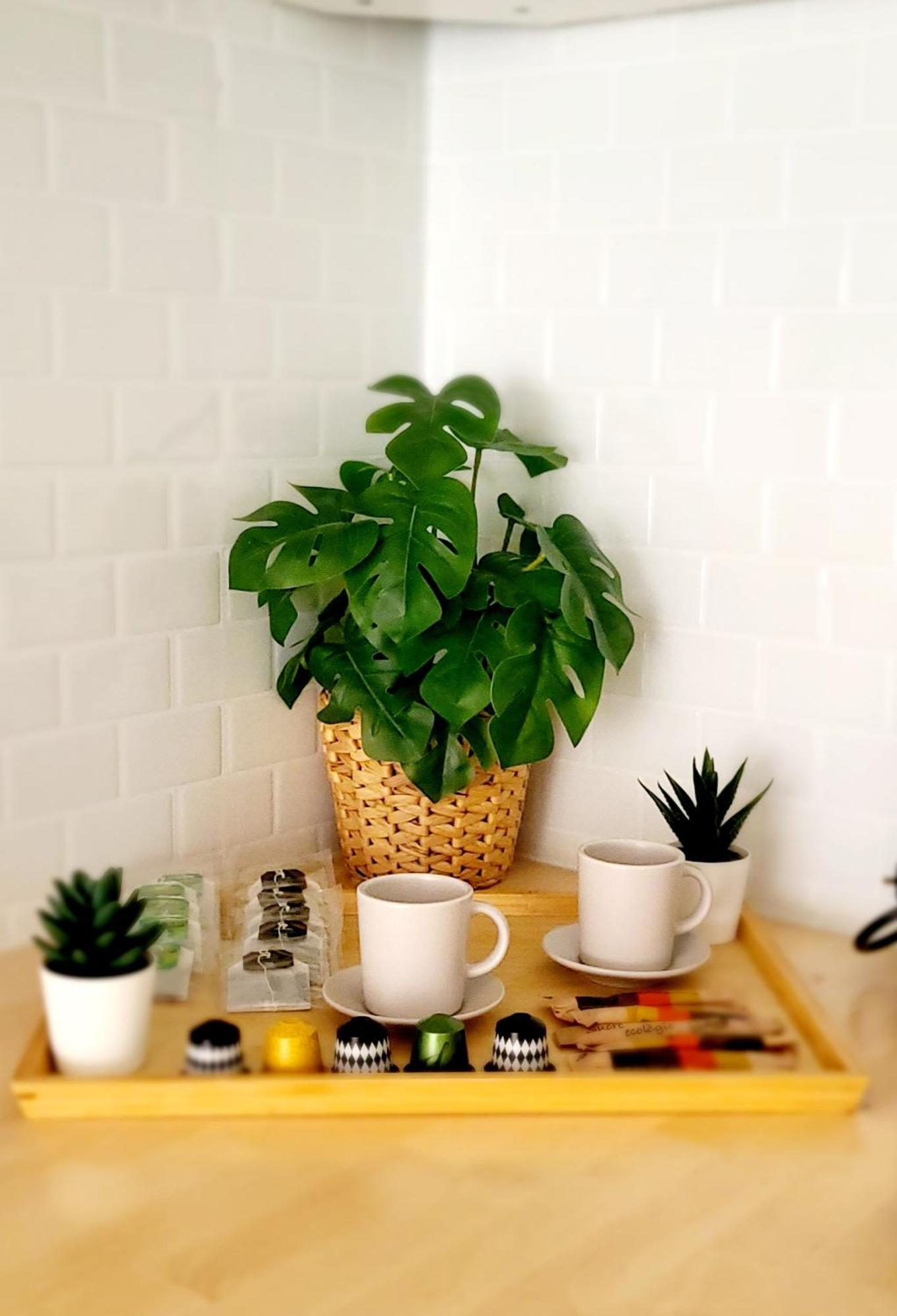 Modern Apartament Al Costat Del Parc De La Devesa 지로나 외부 사진
